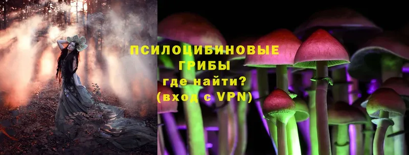 omg tor  Домодедово  Галлюциногенные грибы MAGIC MUSHROOMS 